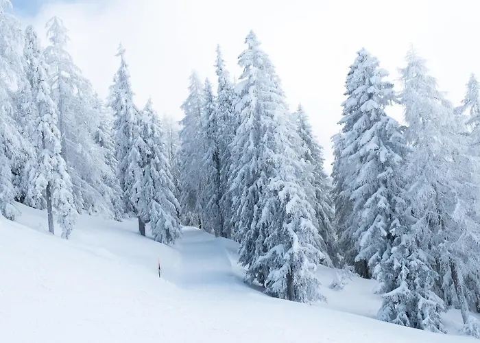 Lägenhet Silberdistel Bellwald