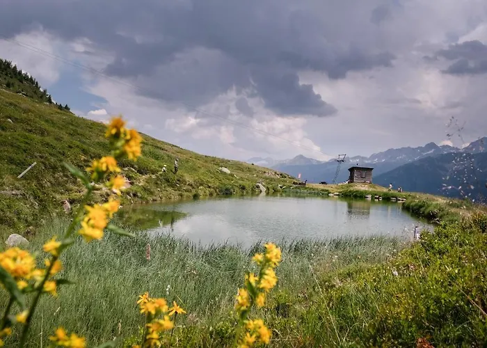 Silberdistel * Bellwald
