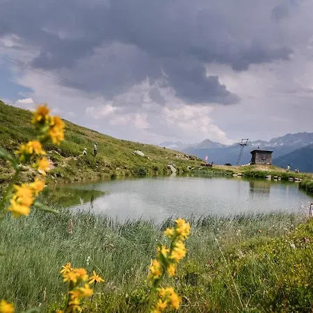 Silberdistel * Bellwald
