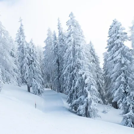 Apartament Silberdistel Bellwald